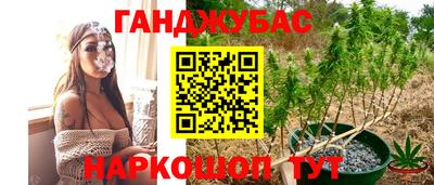 гидропоника Изобильный